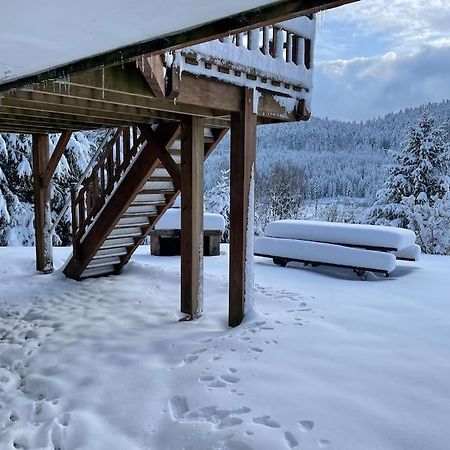 Ban-sur-Meurthe-Clefcy Chalet Situe Au Grand Valtinヴィラ エクステリア 写真