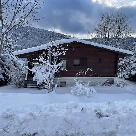 Ban-sur-Meurthe-Clefcy Chalet Situe Au Grand Valtinヴィラ エクステリア 写真