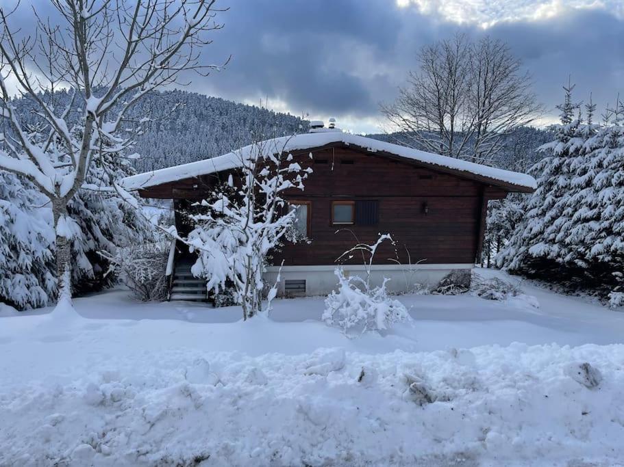 Ban-sur-Meurthe-Clefcy Chalet Situe Au Grand Valtinヴィラ エクステリア 写真