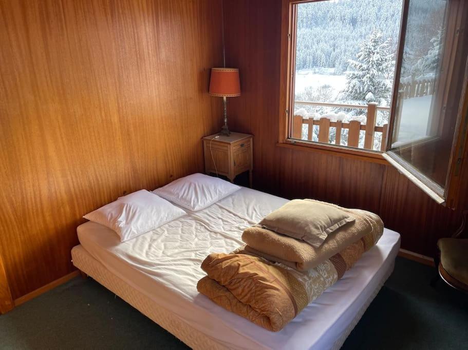 Ban-sur-Meurthe-Clefcy Chalet Situe Au Grand Valtinヴィラ エクステリア 写真
